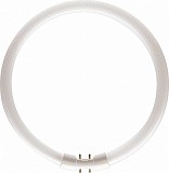 Лампа PHILIPS MASTER TL5 Circular 60W/840 2GX13